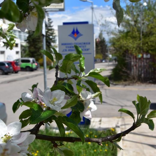 Пътят към знанието Пътят към знанието