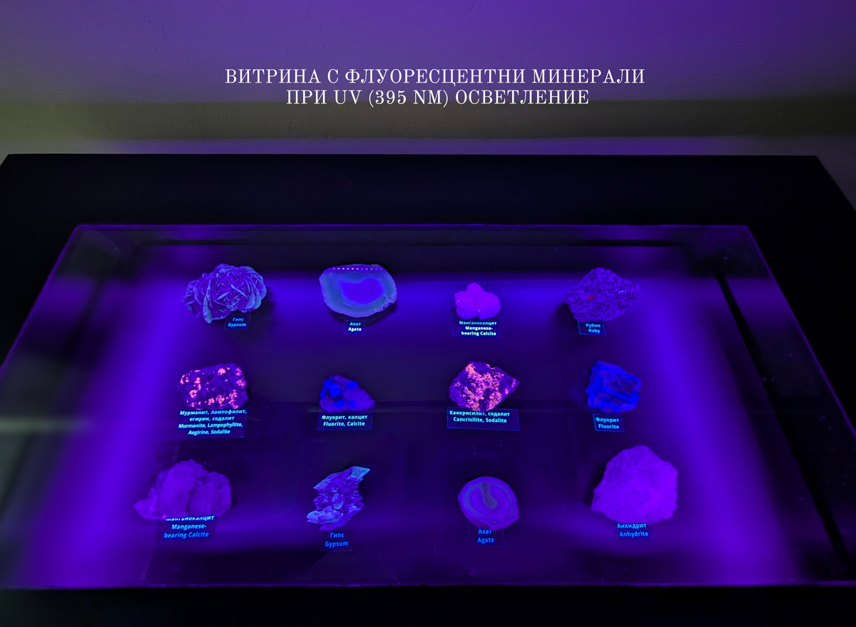 Нова витрина с луминесцентни минерали - 1