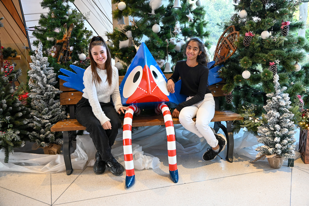 Дечица_Видраре-39