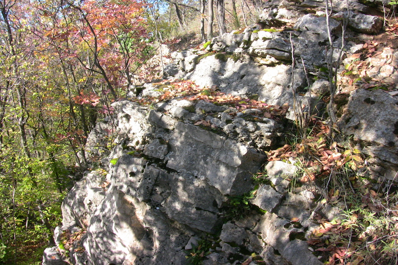 img02
